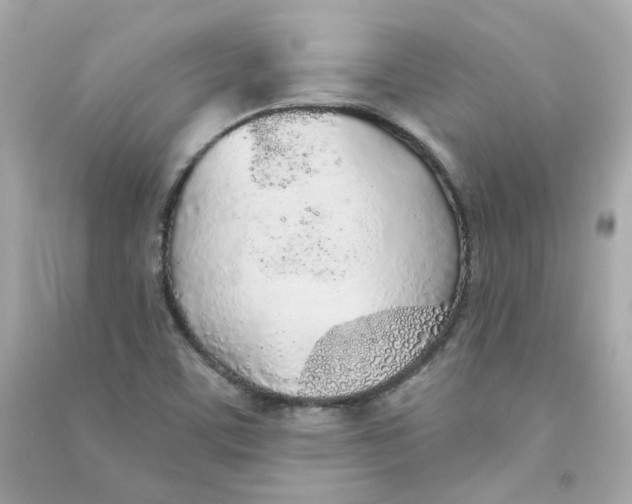 X0000090461459200708102101