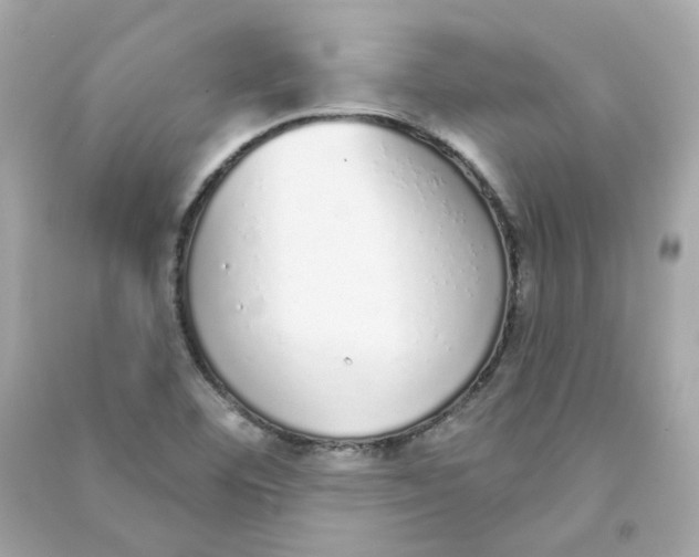 X0000090461460200708102101