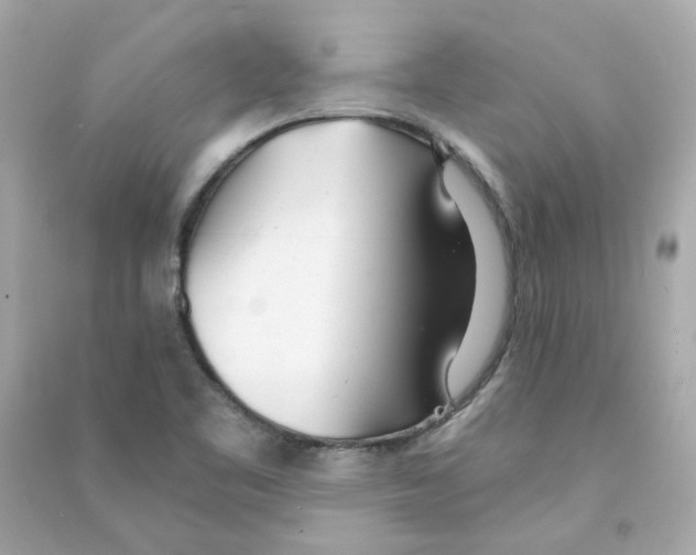 X0000090461461200708102101