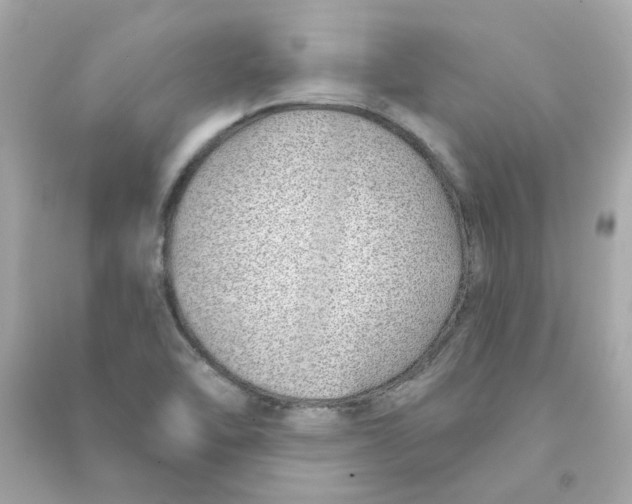 X0000090461462200708102101
