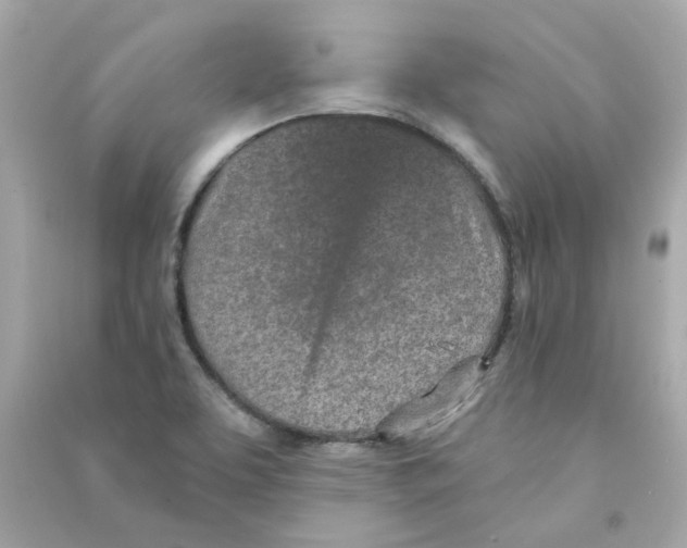 X0000090461463200708102101
