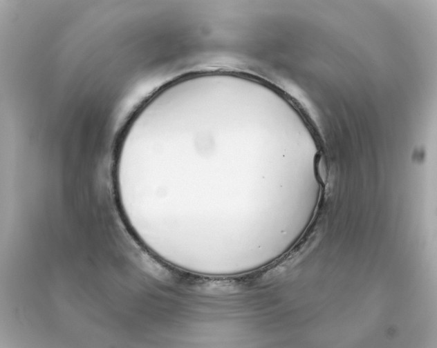 X0000090461464200708102101