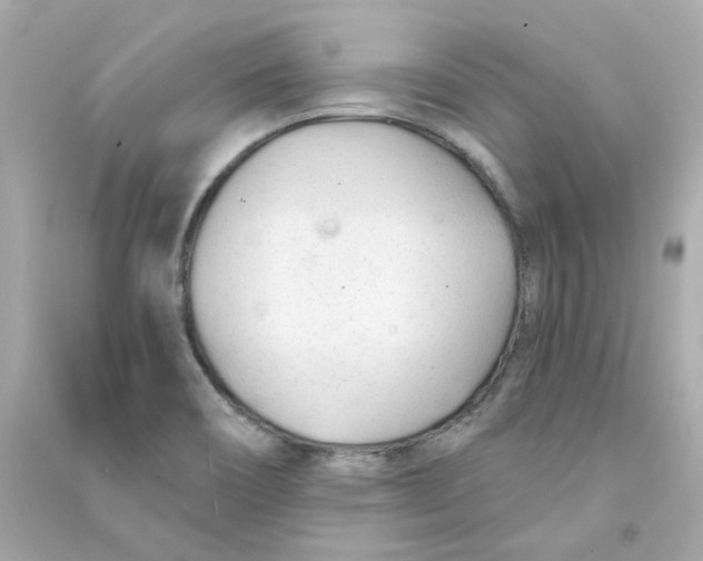 X0000090461466200708102101
