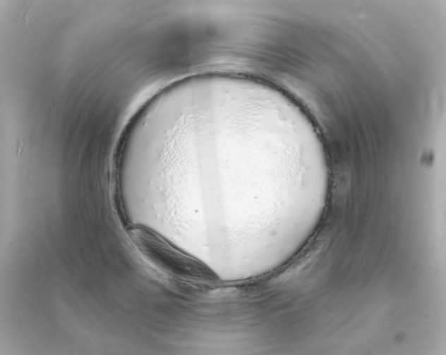 X0000090461467200708102101