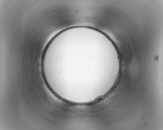 X0000090461468200708102101