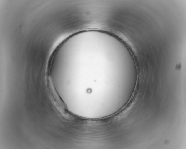 X0000090461469200708102101