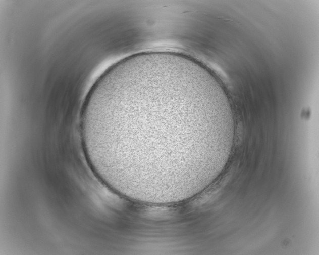 X0000090461470200708102101
