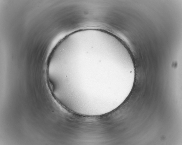 X0000090461472200708102100