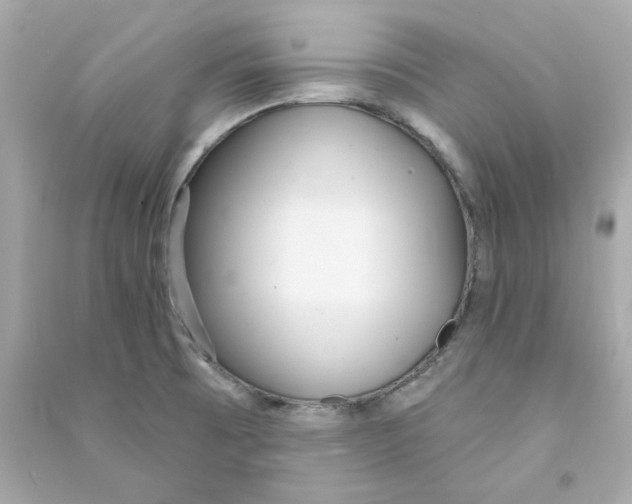 X0000090461473200708102100