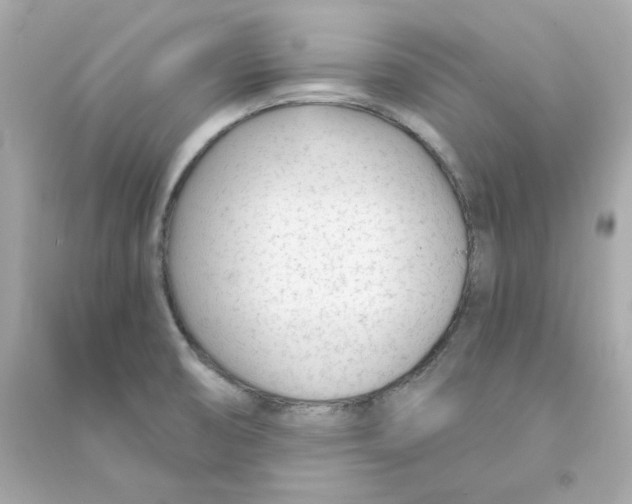 X0000090461474200708102100
