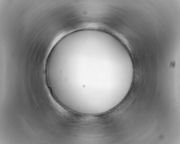 X0000090461475200708102100
