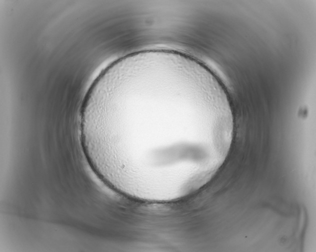 X0000090461476200708102100
