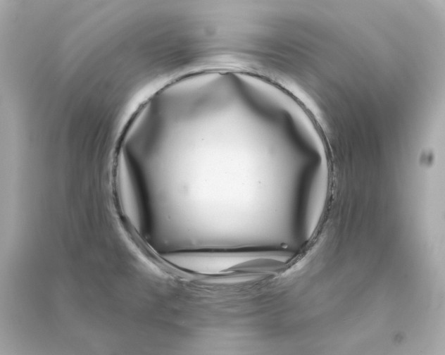 X0000090461477200708102100