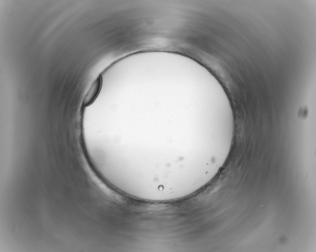 X0000090461479200708102100