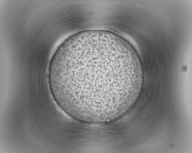 X0000090461480200708102100