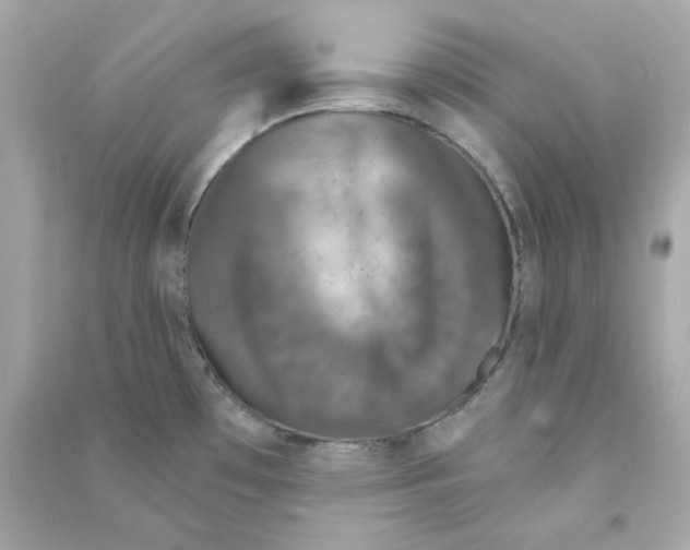 X0000090461481200708102100