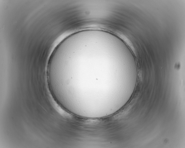 X0000090461482200708102100