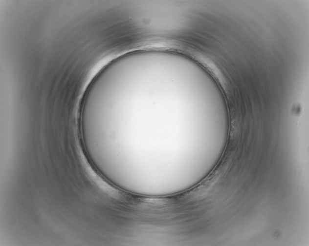 X0000090461483200708102100