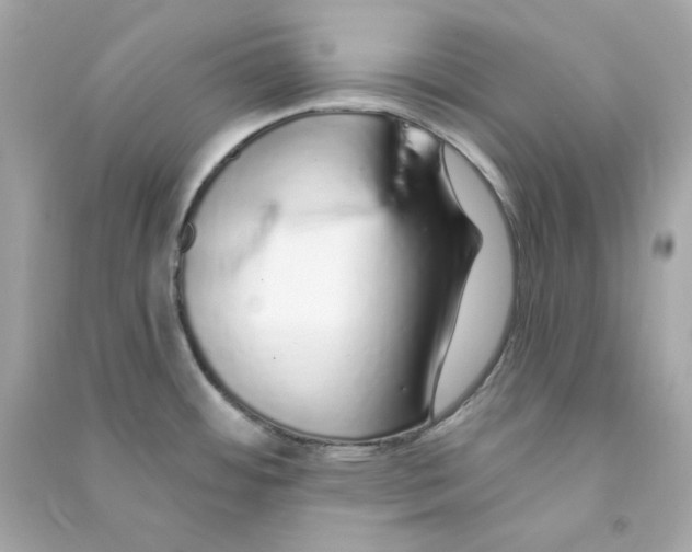 X0000090461484200708102100