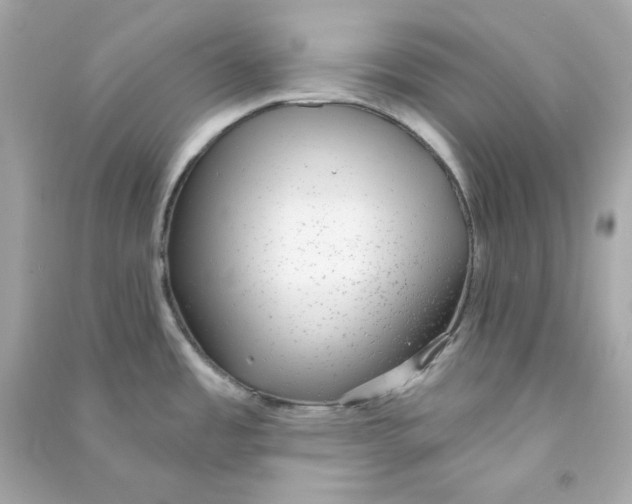 X0000090461485200708102100