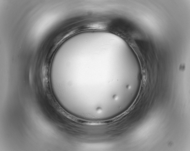 X0000090461487200708102100