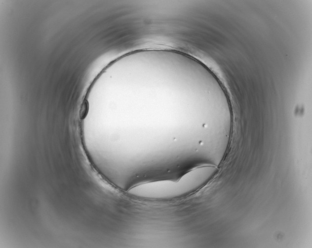 X0000090461488200708102100