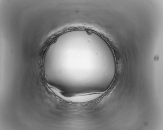 X0000090461494200708102100