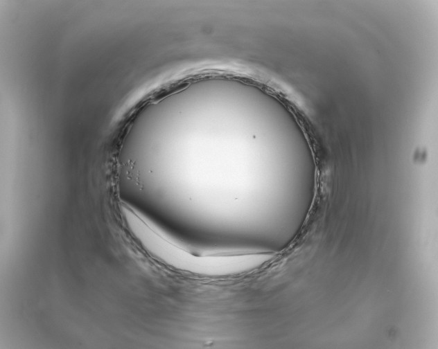 X0000090461496200708102100