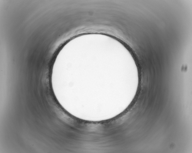 X0000090461498200708102100