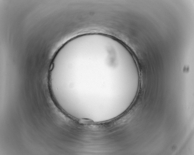 X0000090461500200708102100