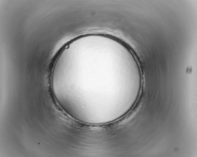 X0000090461501200708102100