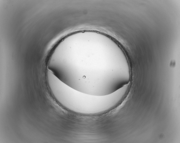 X0000090461502200708102100