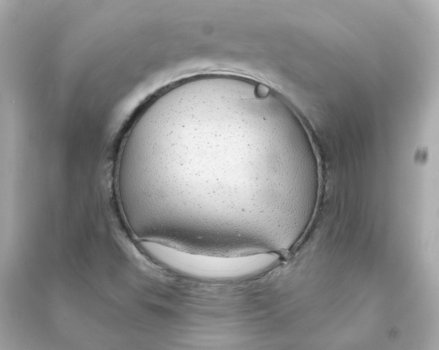 X0000090461503200708102100