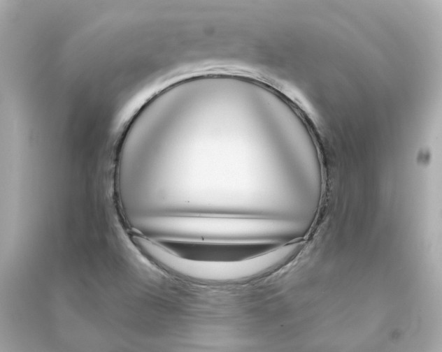 X0000090461504200708102100
