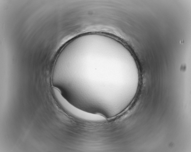 X0000090461505200708102100