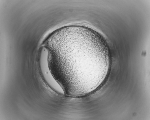 X0000090461506200708102100