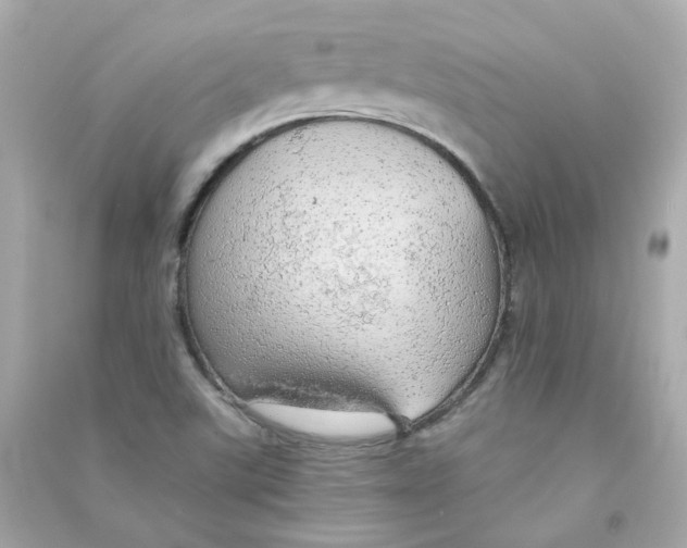 X0000090461507200708102100