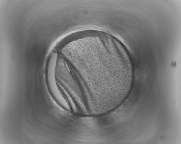 X0000090461508200708102100