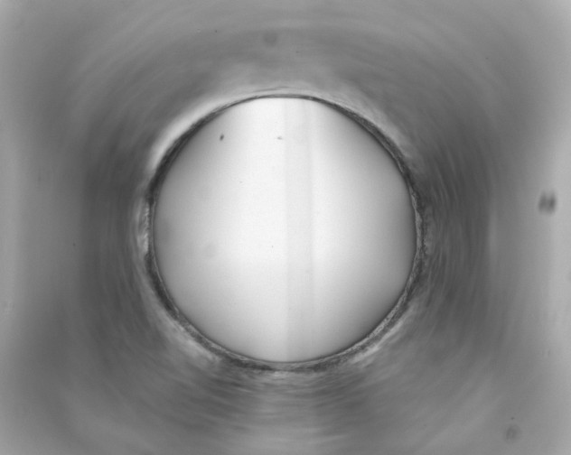 X0000090461510200708102100