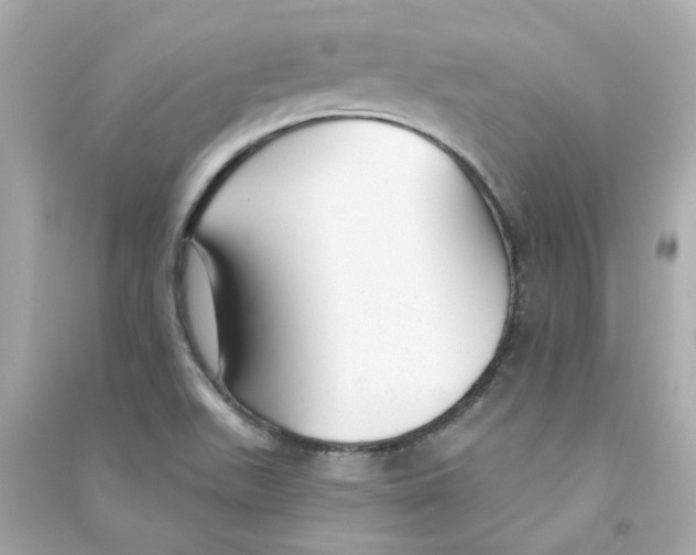 X0000090461511200708102100