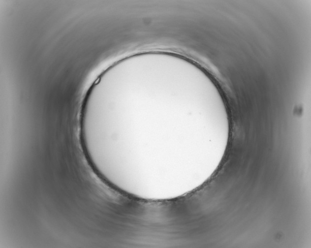 X0000090461512200708102100