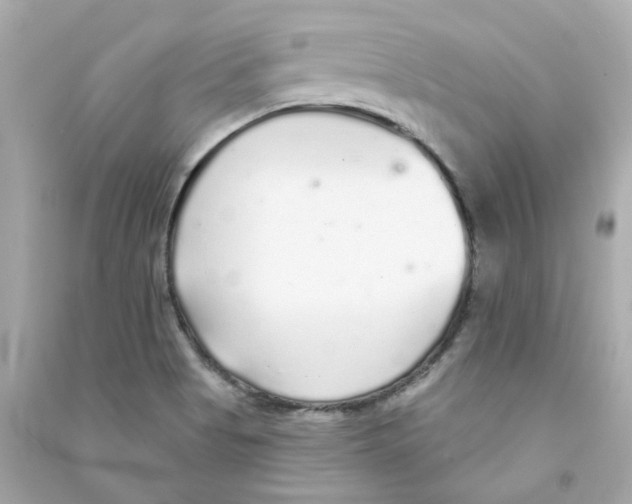 X0000090461513200708102100