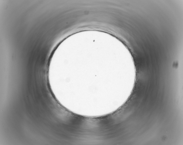 X0000090461514200708102100