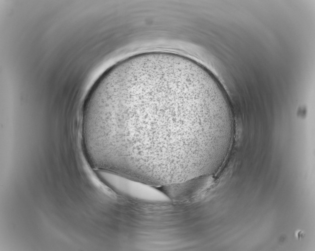 X0000090461515200708102100