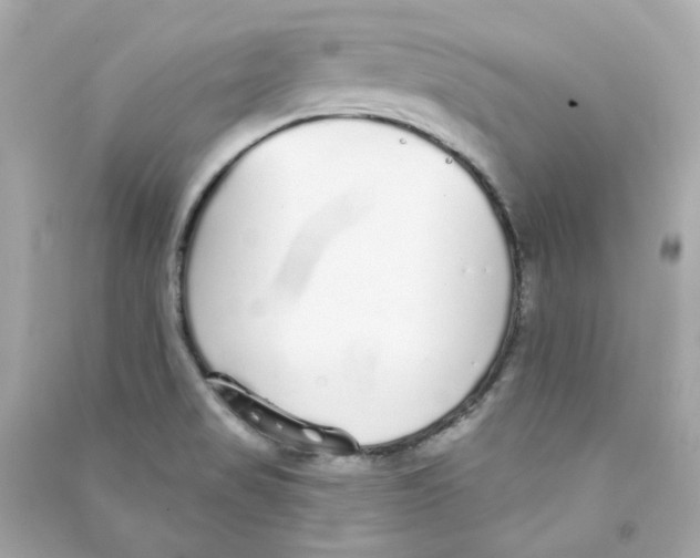 X0000090461517200708102100