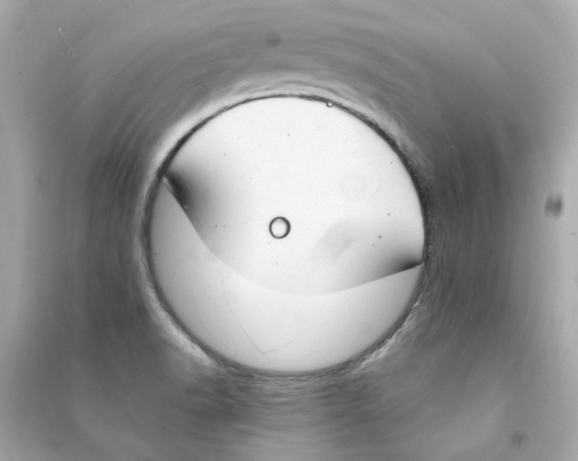 X0000090461518200708102100