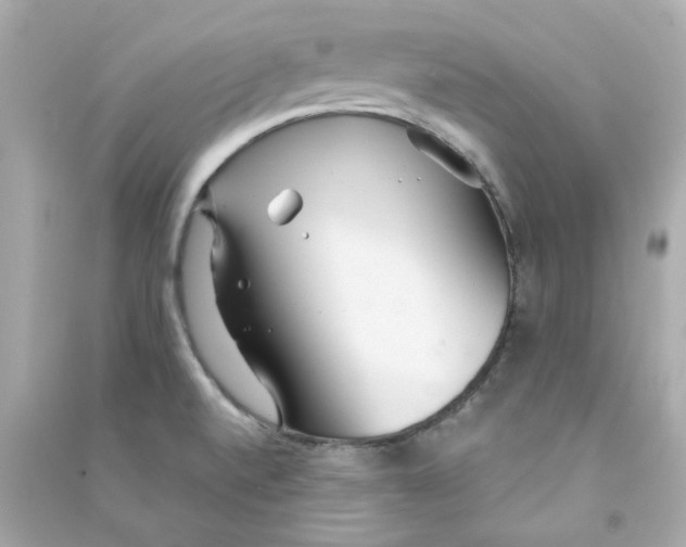 X0000090461520200708102100