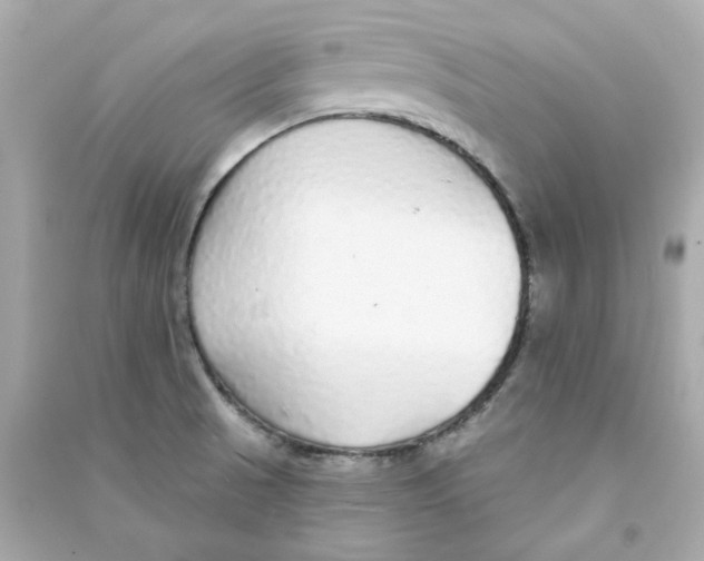 X0000090461521200708102100