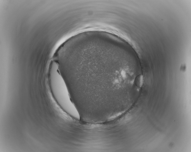 X0000090461522200708102100