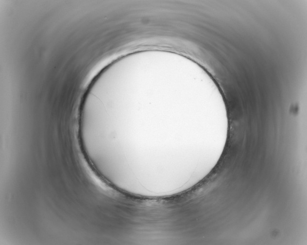 X0000090461523200708102100